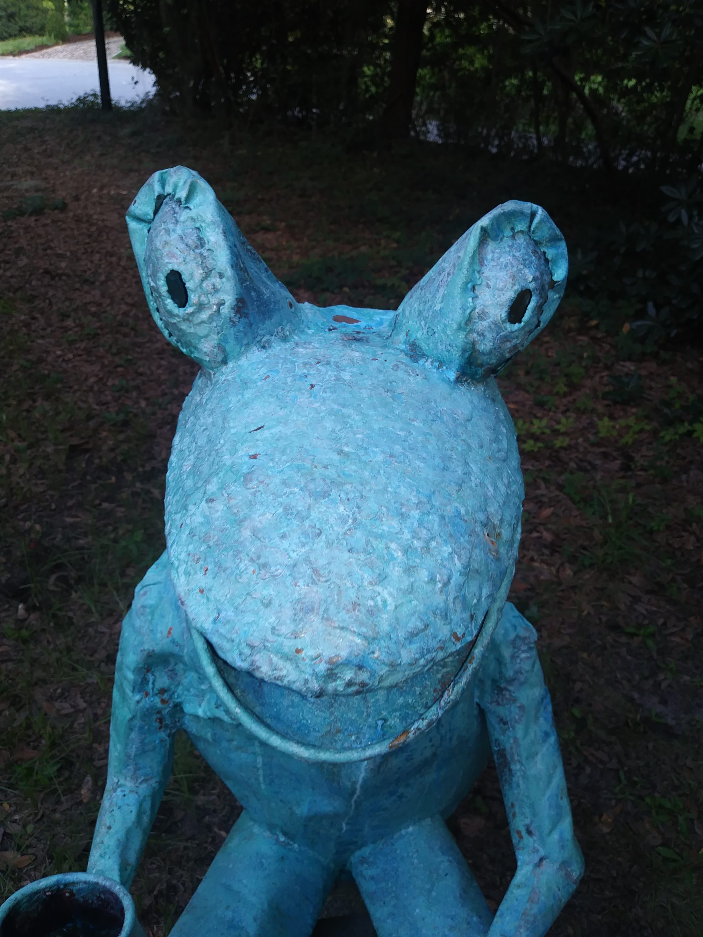 beau smith frog sculpture 8-1-17 (29)